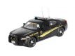 Dodge Charger Police Car