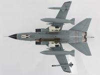 Panavia Tornado IDS (43+42)