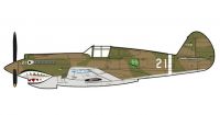 Curtiss P-40B Warhawk (White 21)