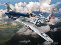 North American P-51D Mustang (41-4906 / PE)