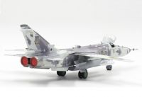 Suhoi SU-24MR (Yellow 59)