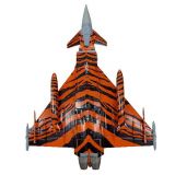 Eurofighter Typhoon EF 2000 (30+09)