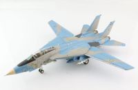 Grumman F-14A Tomcat (3-6041)