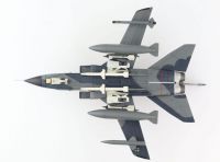 Panavia Tornado IDS (46+20)