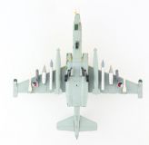 Suchoi SU-25 K (9013)