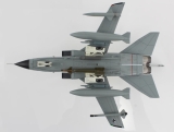 Panavia Tornado IDS (43+42)