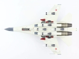 Suchoi SU-27SKM (Blue 305)