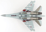 Suchoi SU-35S (Blue 25)