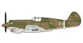 Curtiss P-40B Warhawk (White 21)