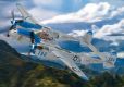 Lockheed P-38J Lightning (43-28538 / 194)