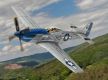North American Mustang P-51D (44-14237 / HO-W)