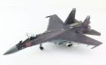 Suchoi SU-35S (Red 04 / RF-95241)